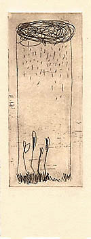 Les fleurs se mouillent