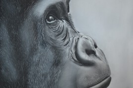 Gorille aux pastels secs