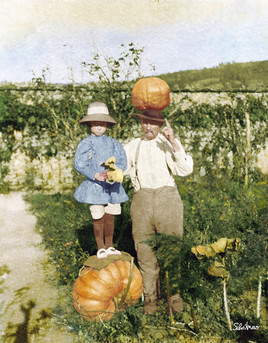 Citrouilles et compagnie