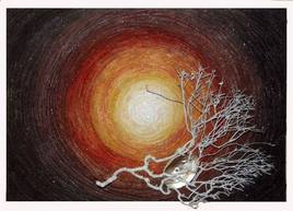 ~  Cercle de la vie~