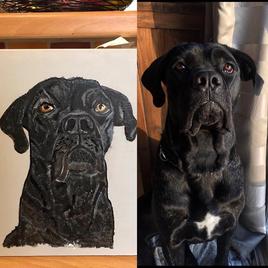 Jana Can&eacute; corso