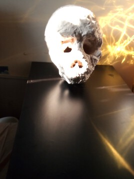 Brutale Vanit&eacute;