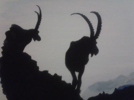 Le roi des montagnes