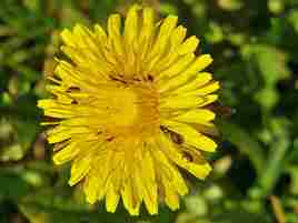 Pause déjeuner pour tous!
