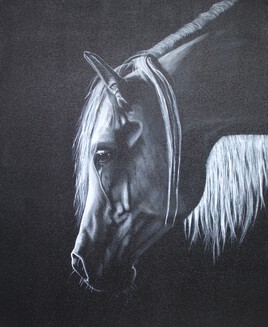 Portrait cheval purs sang arabe