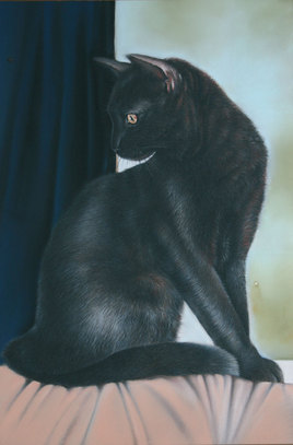 Mortimer, le Chat Noir