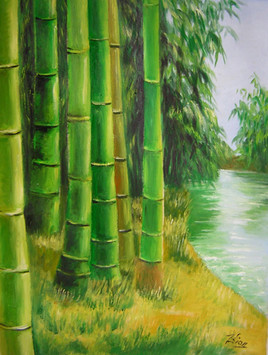 Bamboos by the river