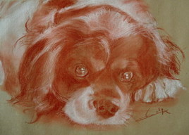 Cavaliers king charles