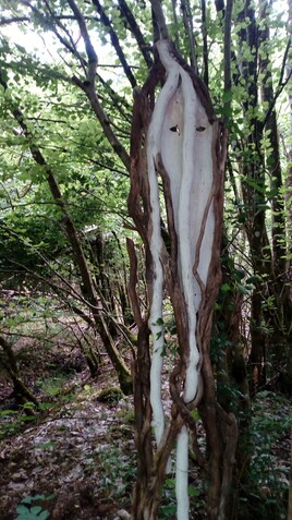 grand elfe blanc