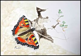 papillon La Vanesse de l&rsquo;ortie / Painting : The Vanessa of the stinging nettle (Aglais urticae)