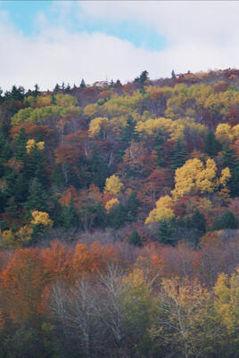 couleurs d'automne au Quebec