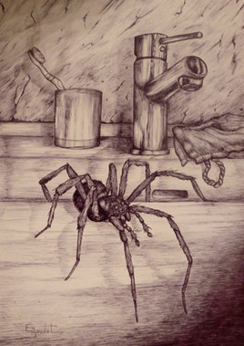 "Bestiaire du petit monde qui nous entoure" N&deg;13