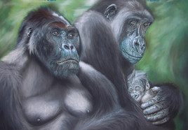 famille gorille