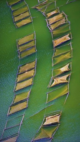 Take a walk by my side