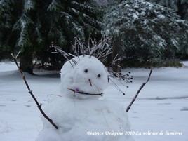 Bonhomme de neige octobre  2010