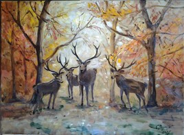 Sous bois en Sologne