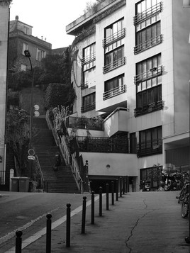 la mont&eacute;e des marches