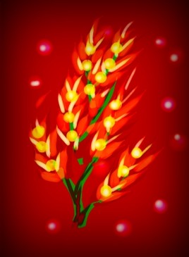 Essai créatif sur Galaxy Note