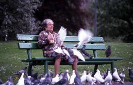La dame aux pigeons