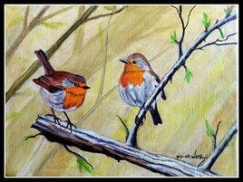 Les deux rouges-gorges . 2