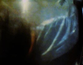 Cauchemar d' une reveuse