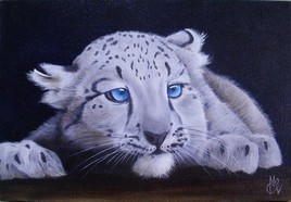 Panth&egrave;re des neiges