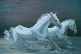 course equestre