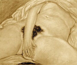 Cachez ce sexe que je ne saurais voir ?...