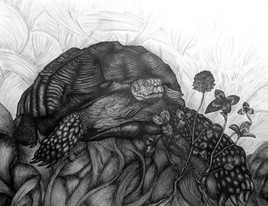 "On m'a racont&eacute; des salades, le tr&egrave;fle est excellent ! "