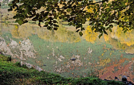 Impression d'automne sur lac