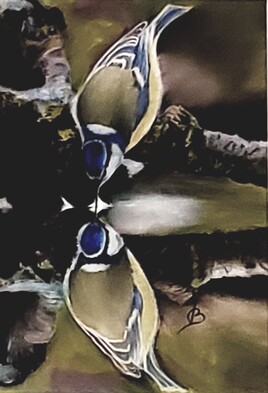 reflet d'une mésange