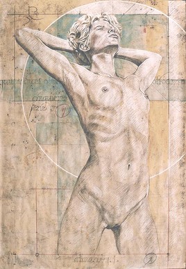 S&eacute;rie5 N&deg;11