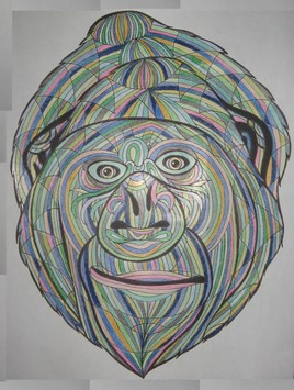 Gorille 5