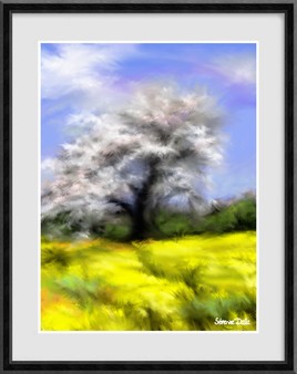 Couleurs du printemps en Pays de Bray