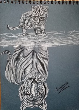 Reflet d'un petit chat et tigre