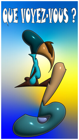 Que voyez-vous  ?