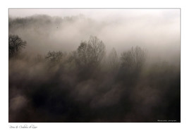 Brumes sur la vallée de la Loire