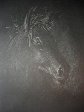 Portrait de cheval à la craie