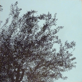 l'Olivier d'Isle-sur-Sorgue