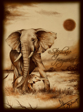 Eléphants d'Afrique