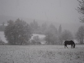 campagne sous la neige