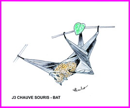Inktober J3 : Chauve souris / Bat