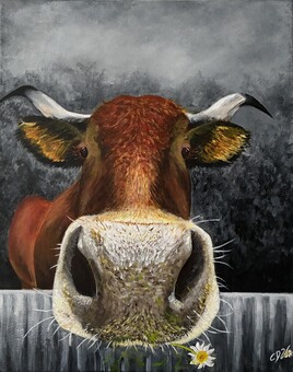 Lady cow