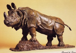 Rhinoceros des Indes 