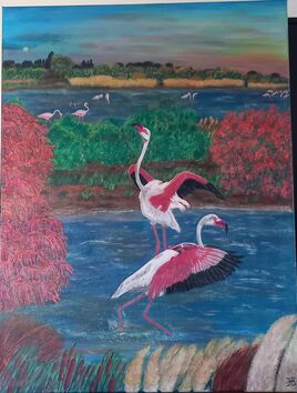 Tomb&eacute;e du jour en Camargue