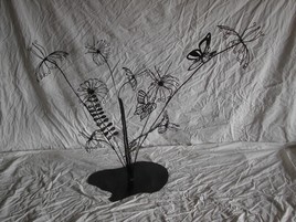 ombelle aux papillons