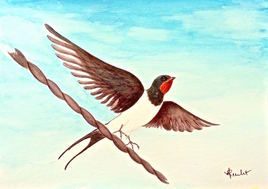 Hirondelle rustique s'envolant  / Painting : a rustic swallow flying away