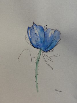 Pavot de l'Himalaya n°3