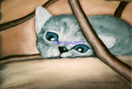 bb chat