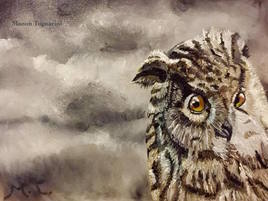 The owl of the darkness